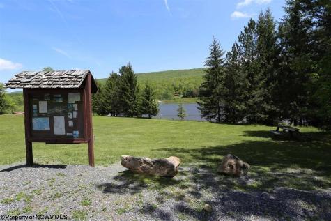 54 Cabin Mountain Road Davis WV 26260