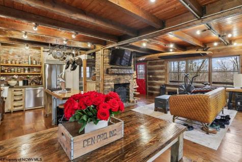 54 Cabin Mountain Road Davis WV 26260