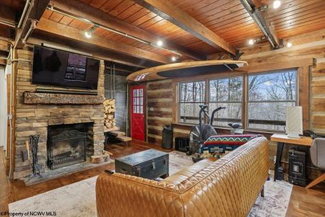 54 Cabin Mountain Road Davis WV 26260