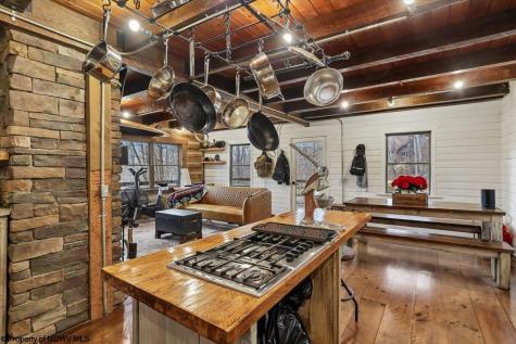 54 Cabin Mountain Road Davis WV 26260