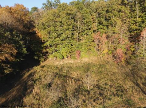 8067 Buckhannon Pike Mount Clare WV 24098