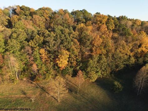8067 Buckhannon Pike Mount Clare WV 24098