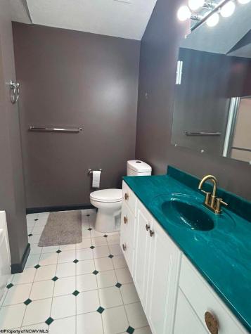 1002 Sherwood Circle Bridgeport WV 26330