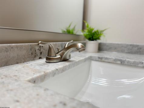 80 Beebalm Court Terra Alta WV 26764-3114