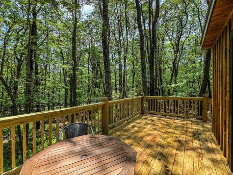 80 Beebalm Court Terra Alta WV 26764-3114