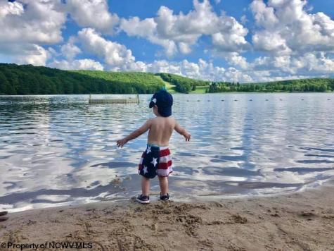 80 Beebalm Court Terra Alta WV 26764-3114