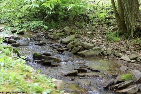 965 Evans Run Road Elkins WV 26241