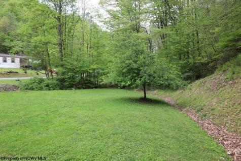 965 Evans Run Road Elkins WV 26241