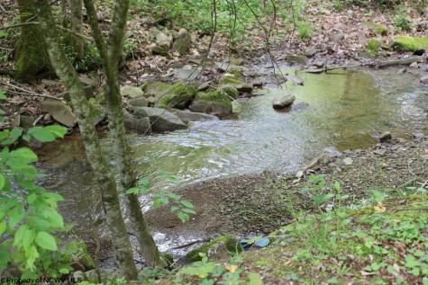 965 Evans Run Road Elkins WV 26241
