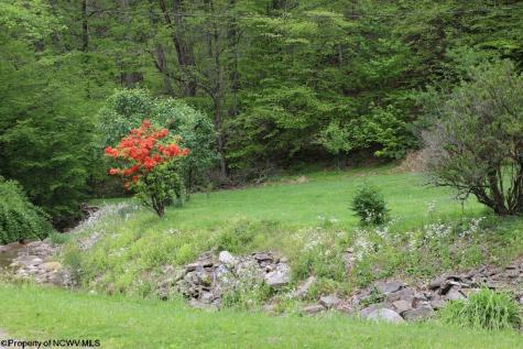 965 Evans Run Road Elkins WV 26241