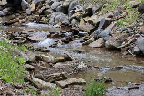 965 Evans Run Road Elkins WV 26241