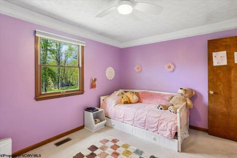 107 Number 41 Mine Road Thomas WV 26292