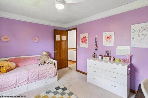 107 Number 41 Mine Road Thomas WV 26292