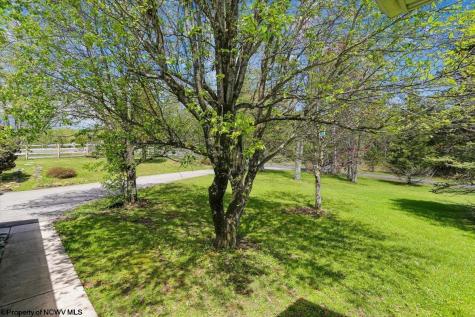 107 Number 41 Mine Road Thomas WV 26292