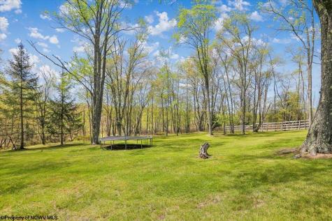 107 Number 41 Mine Road Thomas WV 26292