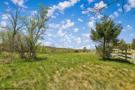 107 Number 41 Mine Road Thomas WV 26292