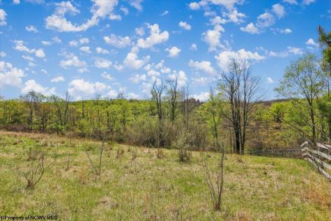 107 Number 41 Mine Road Thomas WV 26292