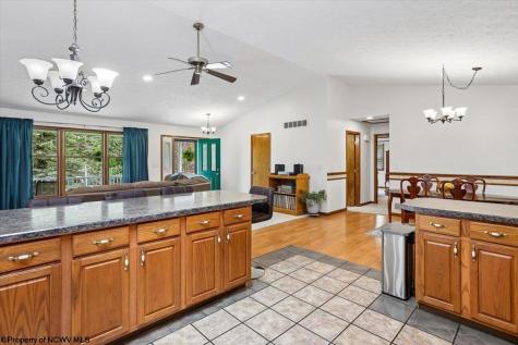 107 Number 41 Mine Road Thomas WV 26292