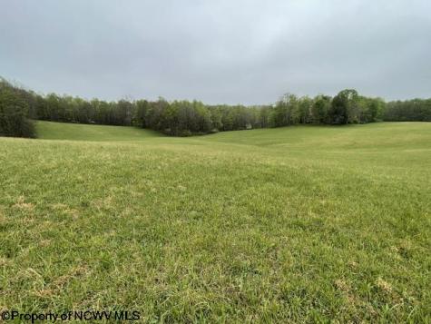 634 Joe Gibson Road Newburg WV 26410