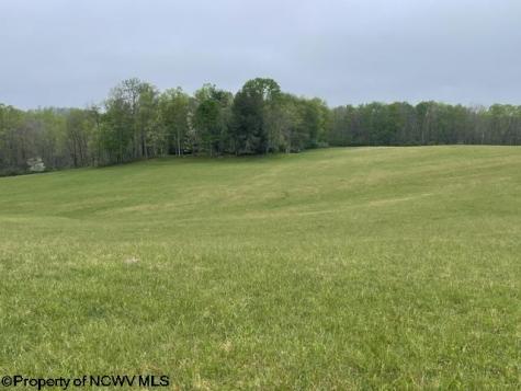 634 Joe Gibson Road Newburg WV 26410