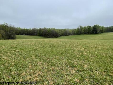 634 Joe Gibson Road Newburg WV 26410