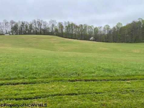 634 Joe Gibson Road Newburg WV 26410