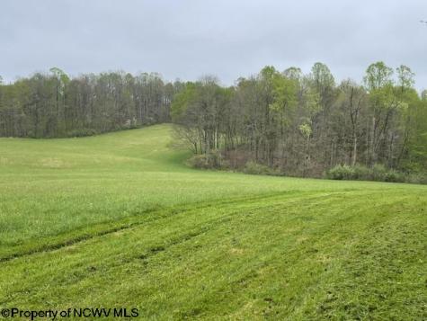 634 Joe Gibson Road Newburg WV 26410