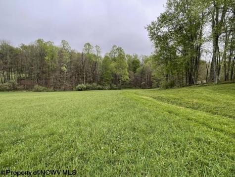 634 Joe Gibson Road Newburg WV 26410