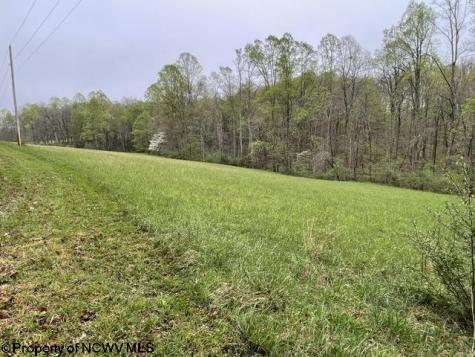 634 Joe Gibson Road Newburg WV 26410