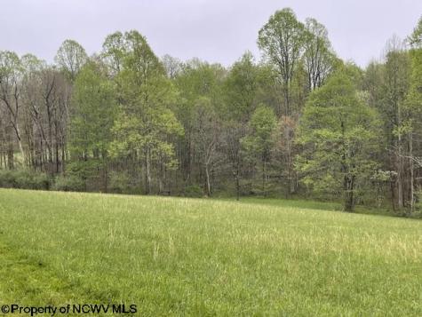 634 Joe Gibson Road Newburg WV 26410