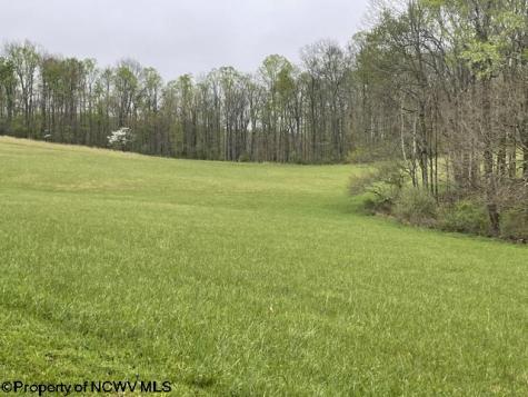 634 Joe Gibson Road Newburg WV 26410