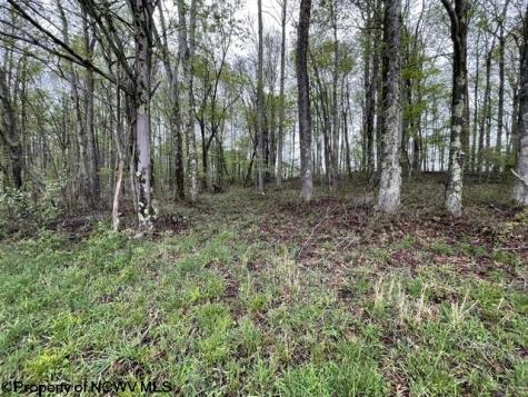 634 Joe Gibson Road Newburg WV 26410