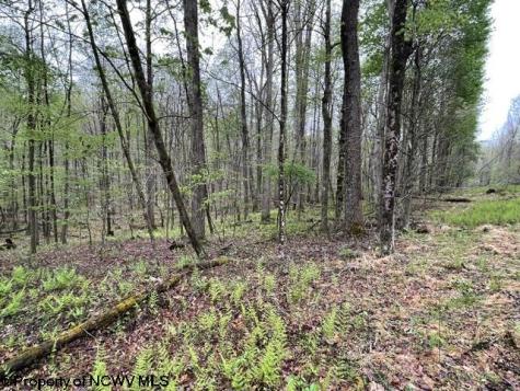 634 Joe Gibson Road Newburg WV 26410