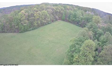 634 Joe Gibson Road Newburg WV 26410