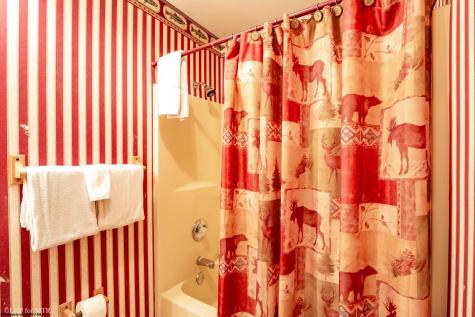 1623 Sand Run Road Davis WV 26260