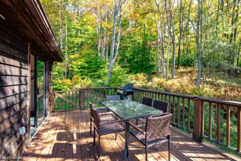 1623 Sand Run Road Davis WV 26260