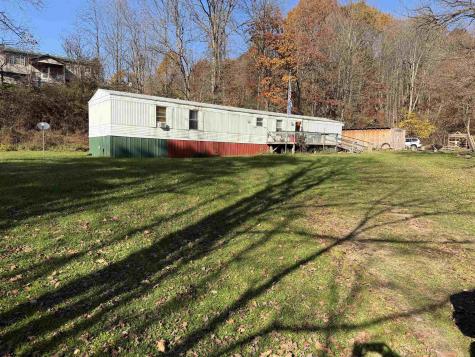 156 Buckskin Drive Elkins WV 26241