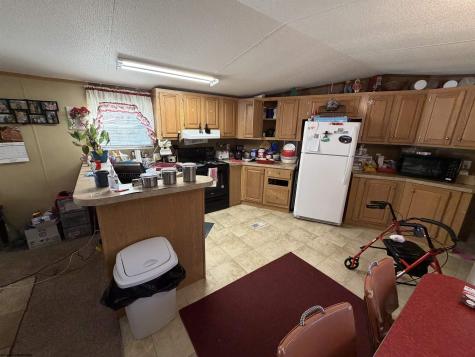 156 Buckskin Drive Elkins WV 26241