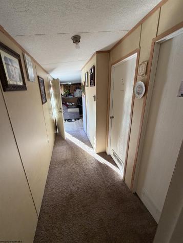 156 Buckskin Drive Elkins WV 26241