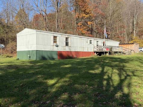 156 Buckskin Drive Elkins WV 26241