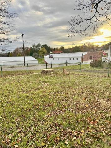 104 Brown Avenue Kingwood WV 26537