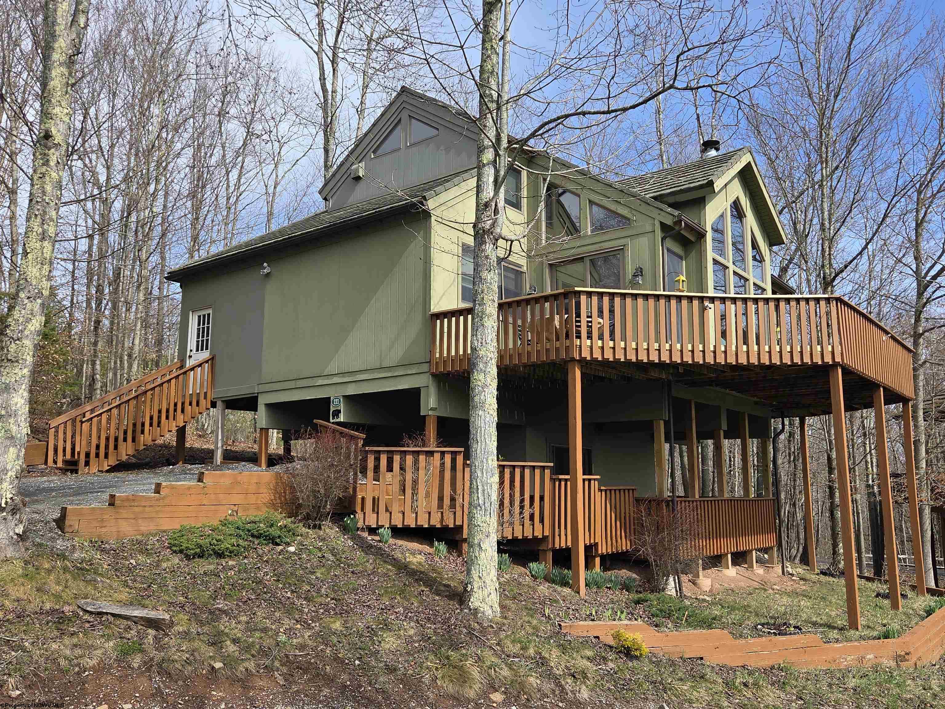 111 Treetop Lane Davis WV 26260
