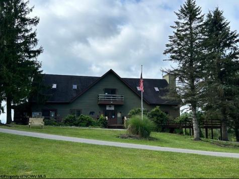 111 Treetop Lane Davis WV 26260