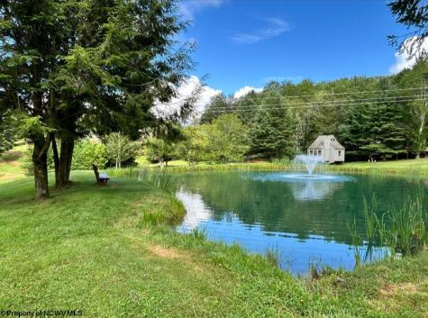 111 Treetop Lane Davis WV 26260