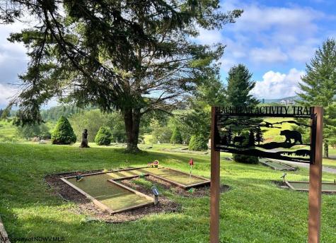 111 Treetop Lane Davis WV 26260