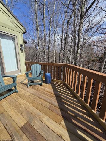111 Treetop Lane Davis WV 26260