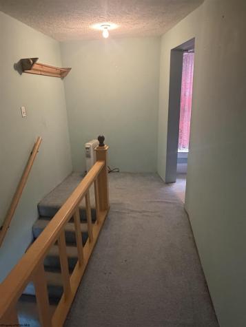 69 Woody Simmons Drive Mill Creek WV 26280-0000