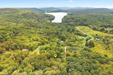 70 Goldfinch Lane Terra Alta WV 26764