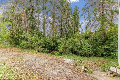 225 Waverly Street Morgantown WV 26505