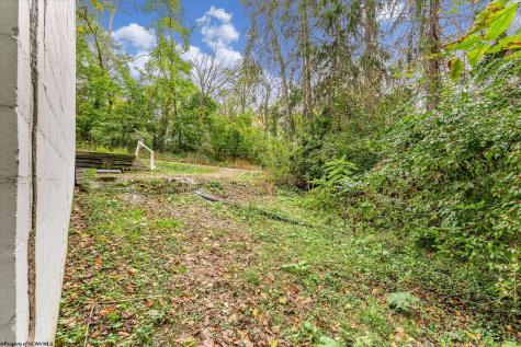 225 Waverly Street Morgantown WV 26505